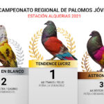 podium-regional-joven-alquerias-21